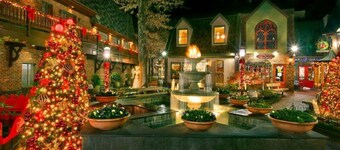 Gatlinburg 3/2 Perfectly Cozy Cabin for Your Next Adventure. Hot Tub, Fireplace.