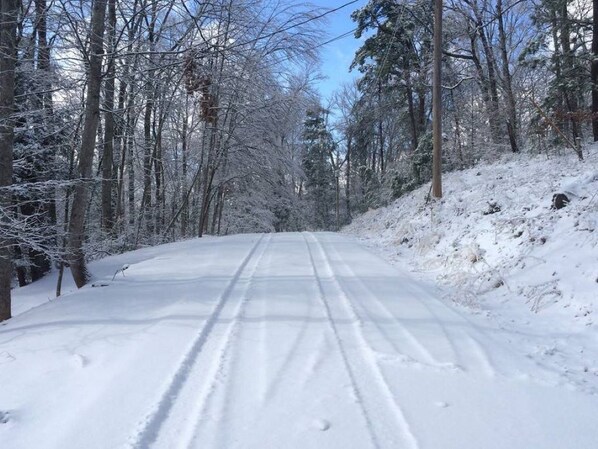 A snow-covered road flanked by trees.