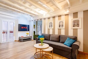 TV, DVD player, books, music library