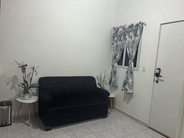 A room with a black sofa, a small white table with a potted plant, and a door with a lock.