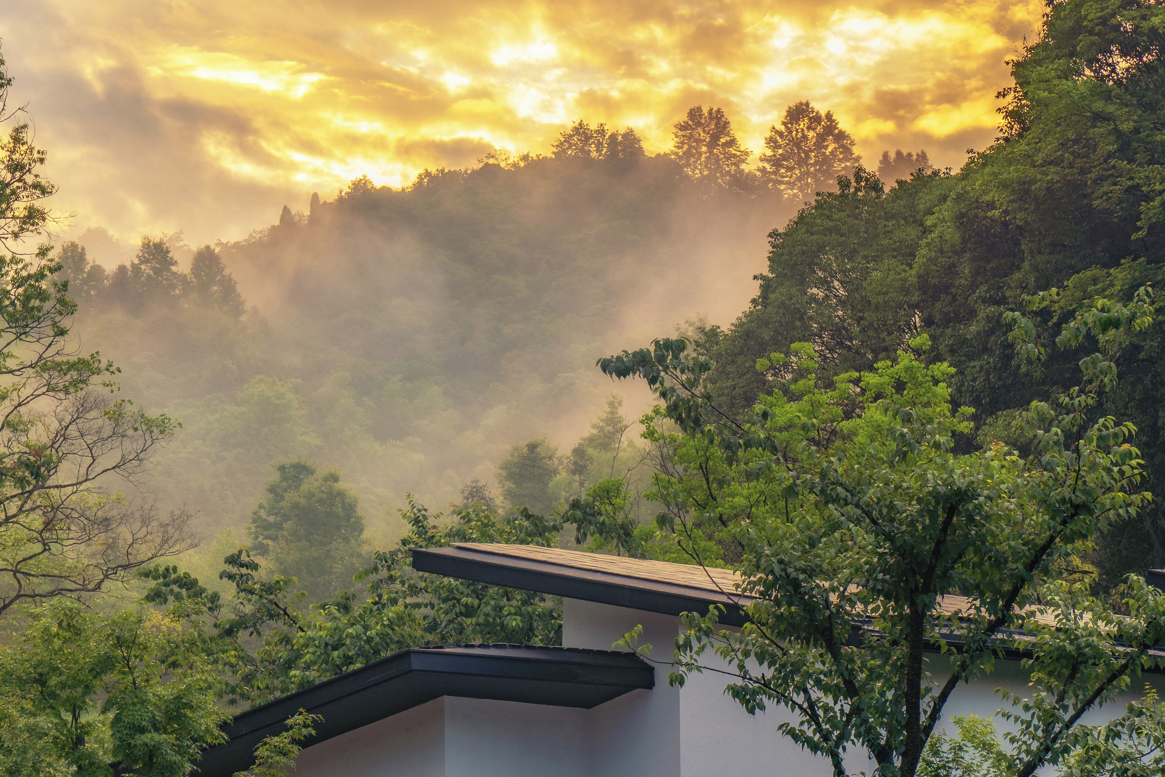 A modern building with a sloped roof, surrounded by dense green foliage and a backdrop of a cloudy sky.