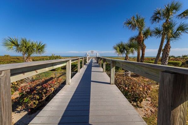 A wooden boardwalk leading to a white gate, surrounded by palm trees and a clear blue sky.