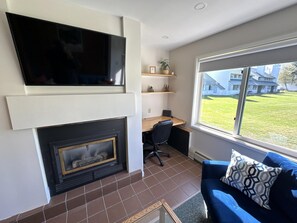 Smart TV, fireplace, books