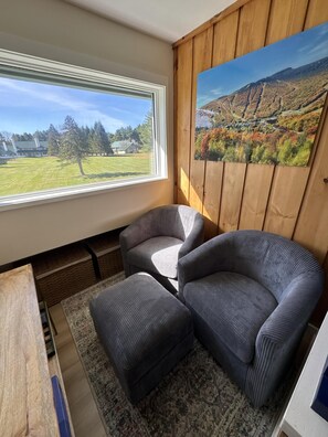 Smart TV, fireplace, books