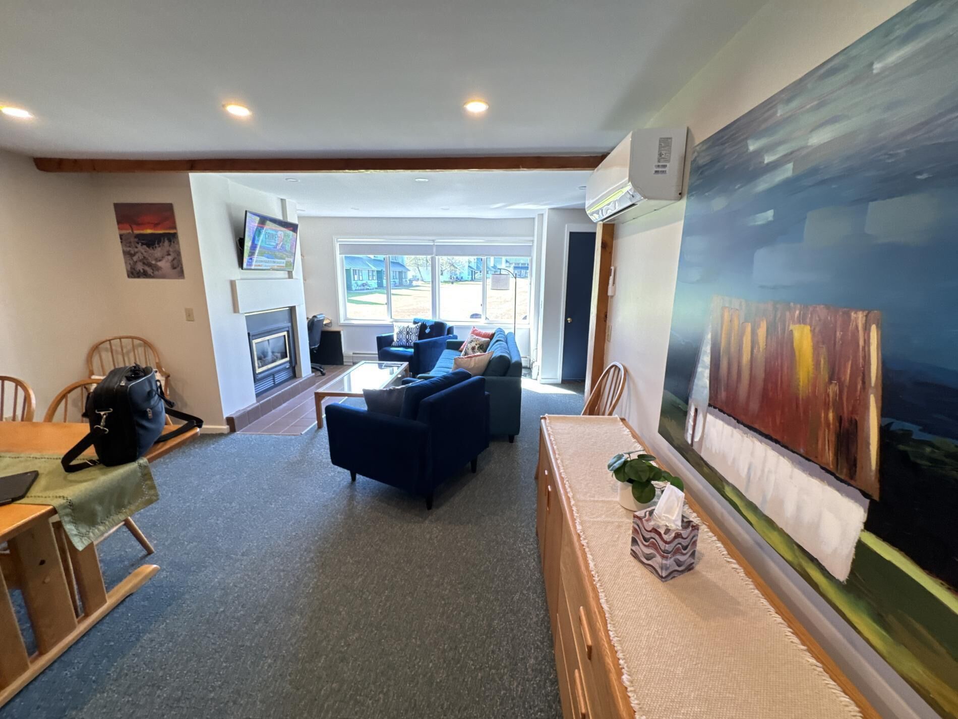 Smart TV, fireplace, books