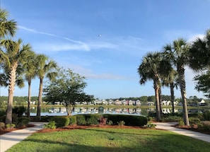 Vista panorámica de un lago con hilera de casas, palmeras y cielo despejado.