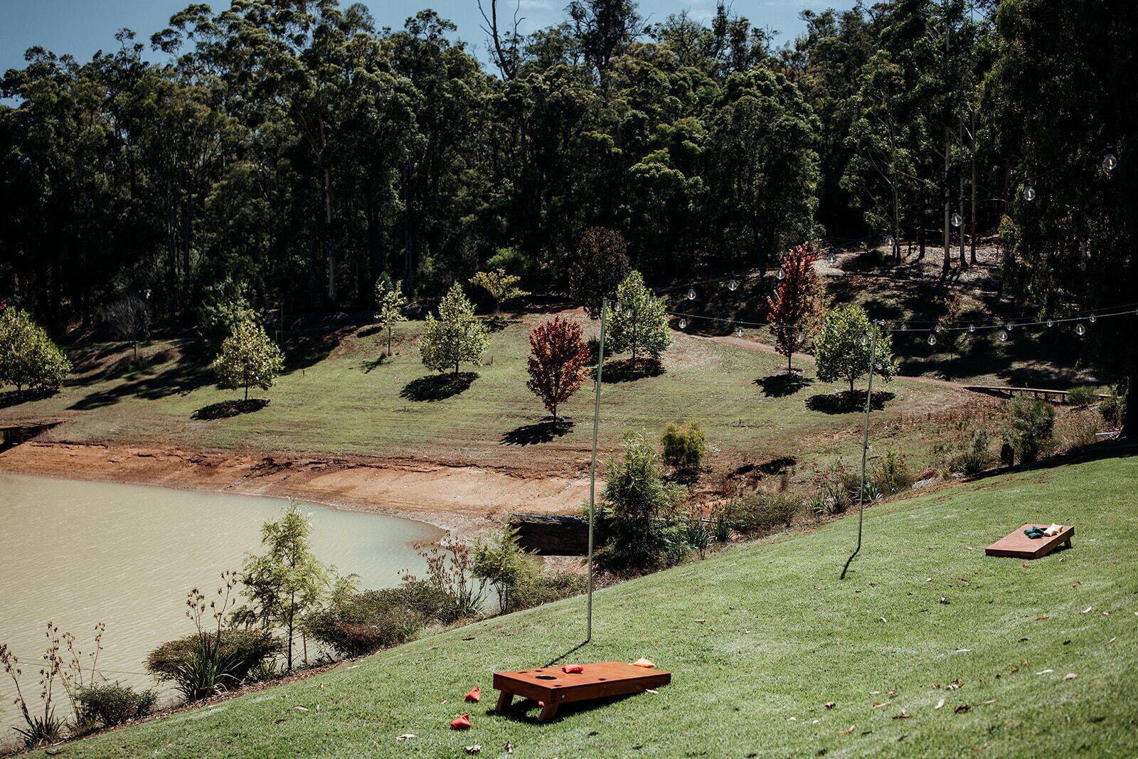 A grassy area with a small pond, trees, and a wooden bench.