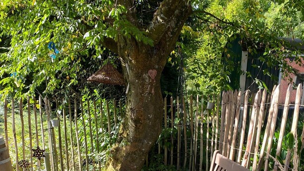 Un banc en bois avec des coussins, un arbre orné d’une sculpture en forme de cœur et une clôture en bambou, le tout dans un cadre de jardin.