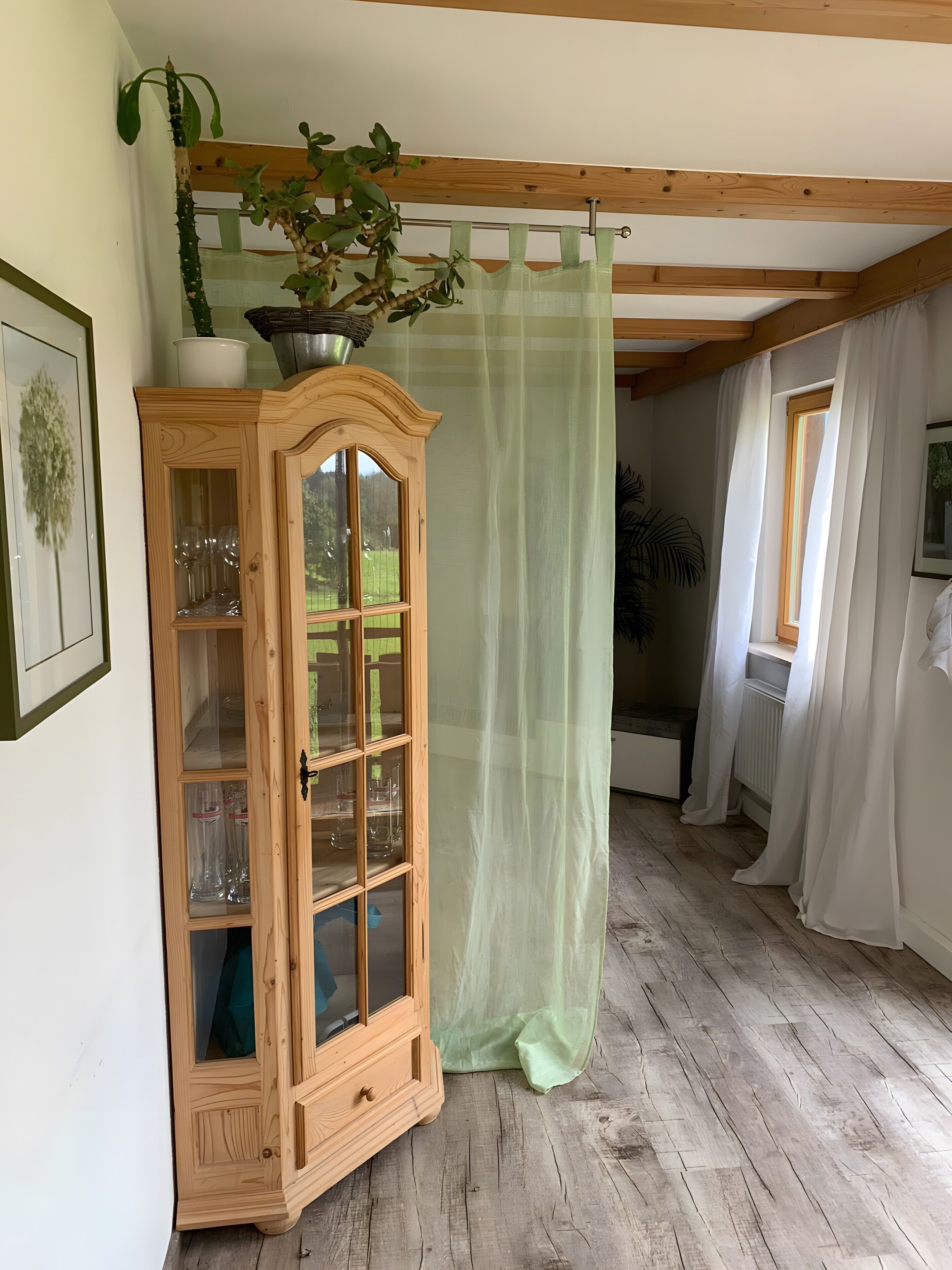Un mobile in legno con ante in vetro, una pianta verde sopra e una tenda leggera.