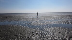 A person walking on a beach with a clear sky.