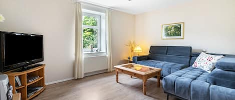 TV, DVD player, ping pong, stereo