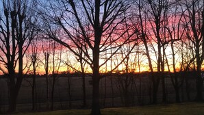 A sunset with bare trees silhouetted against a colorful sky.