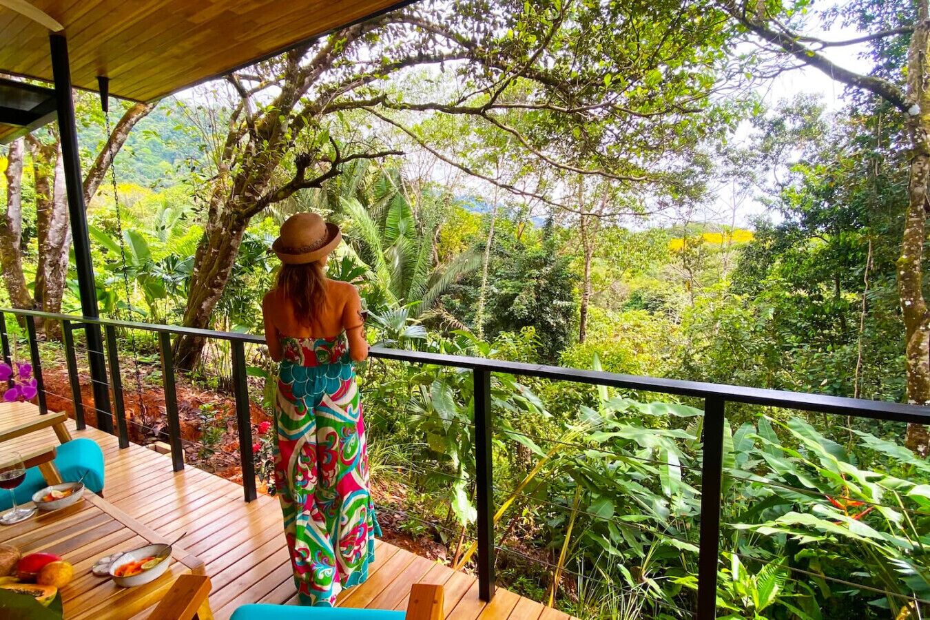 A person standing on a wooden deck overlooking a lush, green landscape.