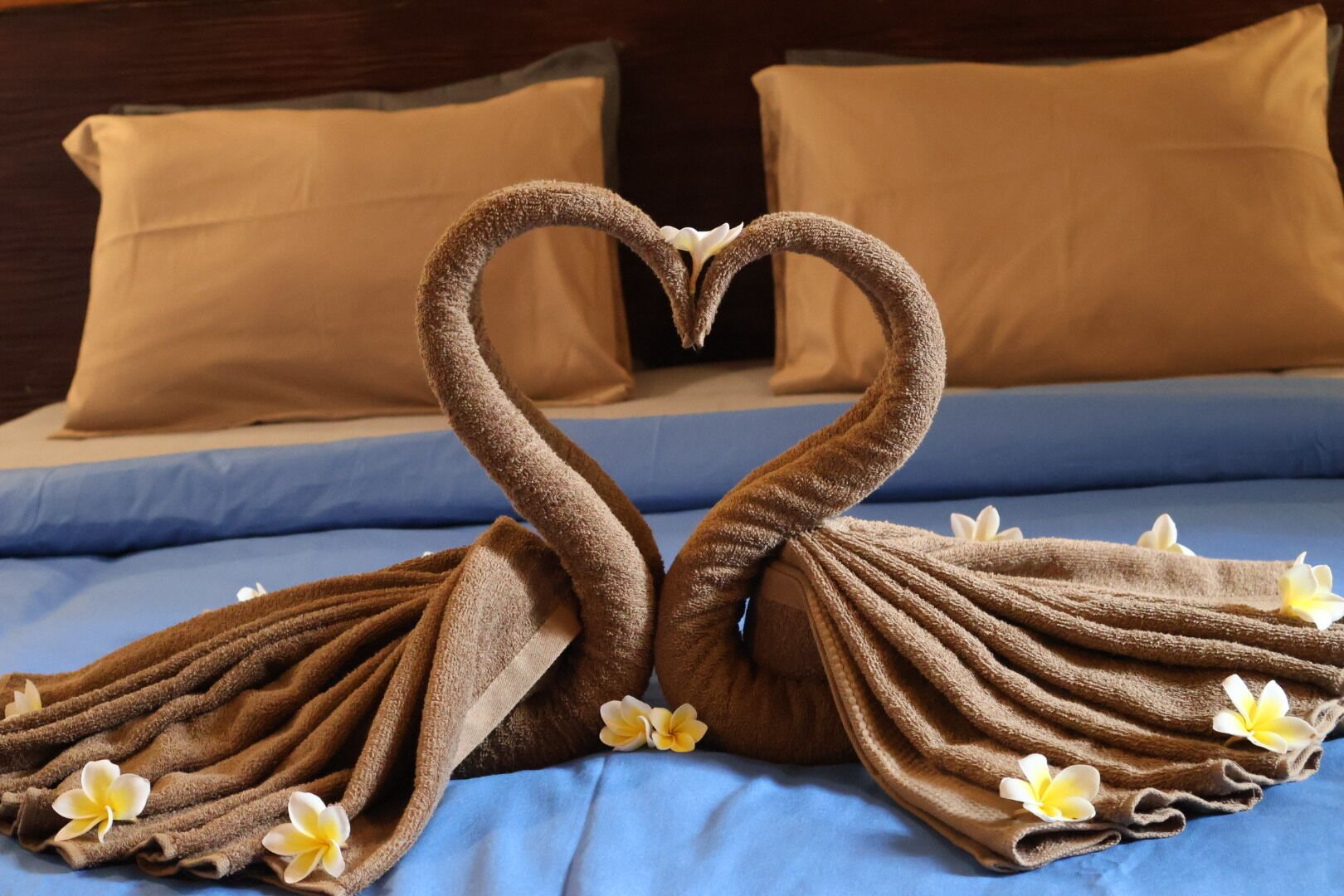 Foto - Rumah Gemala Gili Air