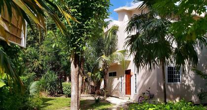 Mini Pini Birdwatching and Cenote Loft4 you Only