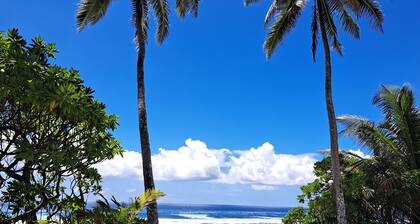 The blue pineapple beach house