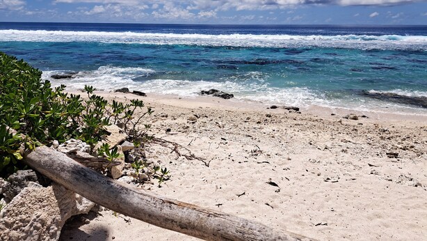 Una playa con agua azul cristalina, orilla de arena y una valla de madera.