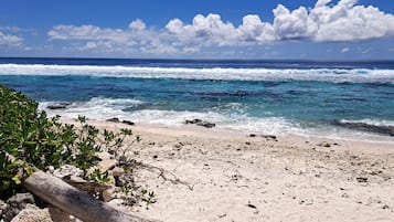 Plage à proximité, chaises longues, serviettes de plage