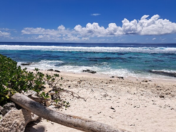 Beach nearby, sun loungers, beach towels
