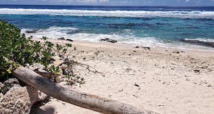 The blue pineapple beach house