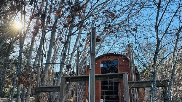 A rustic cabin with a wooden deck and a metal gate, surrounded by trees and a clear sky. - Cozy Yurt in perfect Austin with AC, Free Wifi, free Parking & jacuzzi use (Austin)