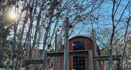 Cozy Yurt in perfect Austin with AC, Free Wifi, free Parking & jacuzzi use