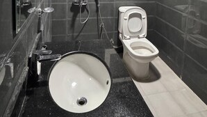 Une salle de bain comprenant des toilettes, un lavabo, une douche et un miroir.