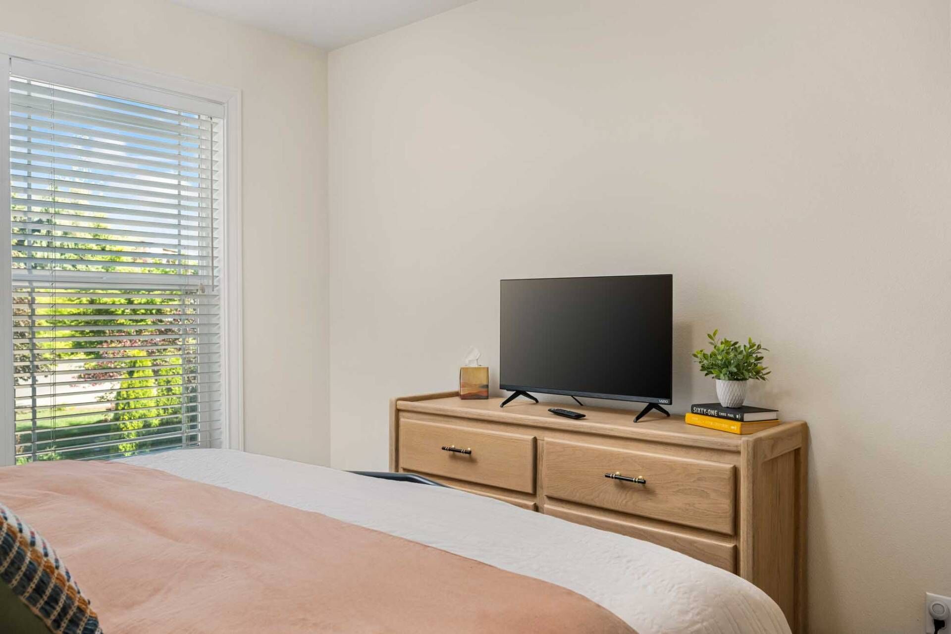 A bedroom with a bed, a TV on a wooden dresser, a window with blinds, and a plant on the dresser.