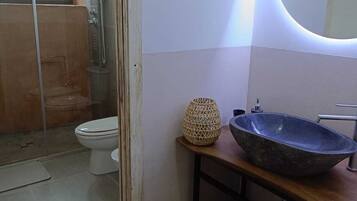 Shower, hair dryer, bidet, towels