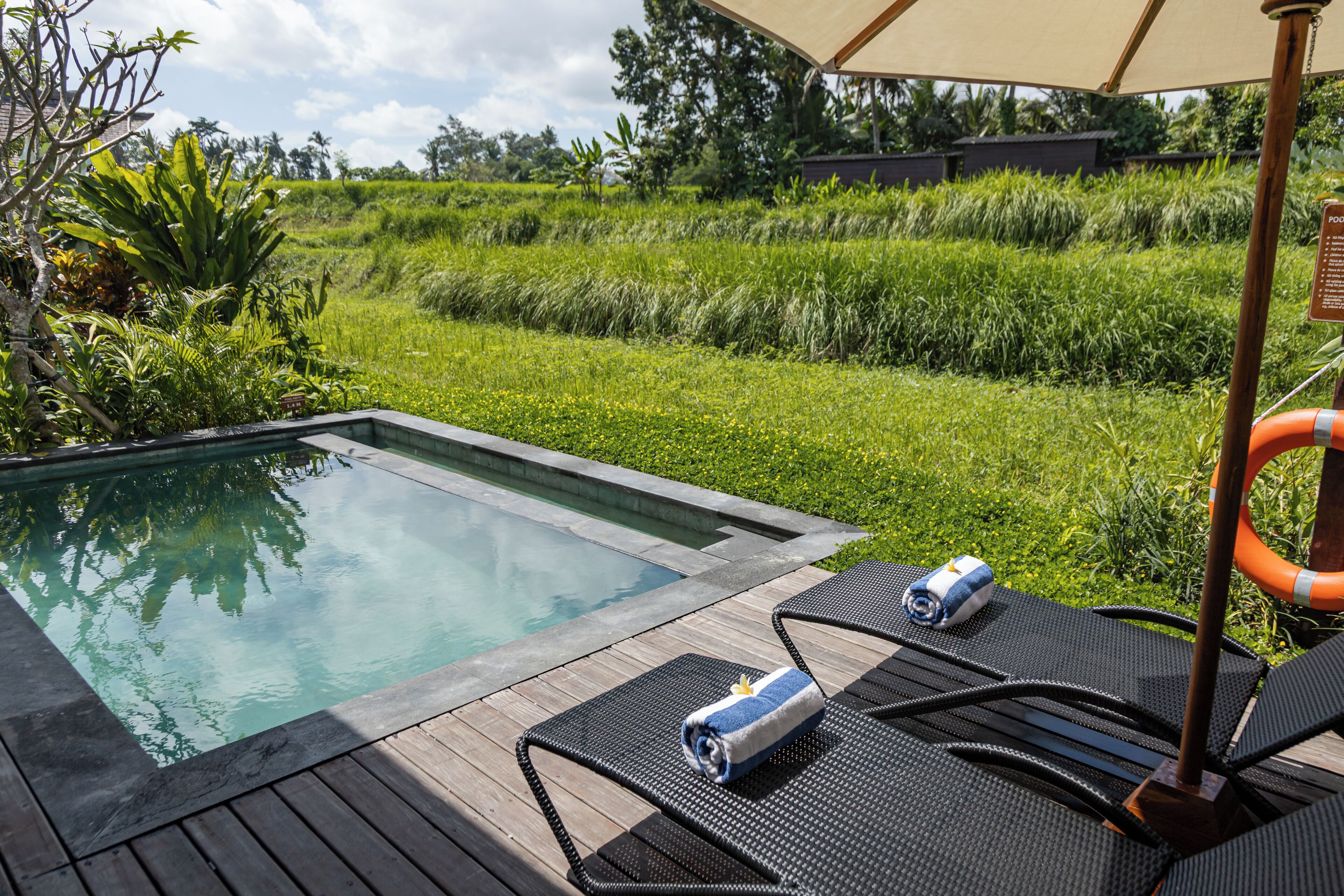 Zona junto a la piscina con sillones reclinables, terraza de madera y vistas a vegetación exuberante y un edificio lejano.