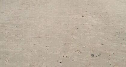 Holiday apartment Lavender