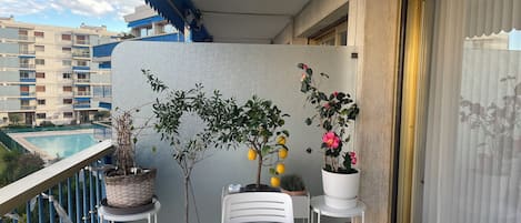 室外用餐