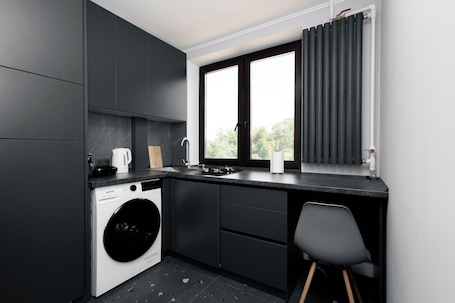 Apartment, 1 Bedroom, Smoking, Balcony | Laundry