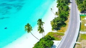 Una carretera costera con playa y palmeras.