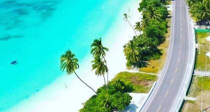 LongBeach Laamu