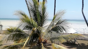 Una palmera con vista a la playa y al océano.