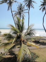 Vista desde la propiedad
