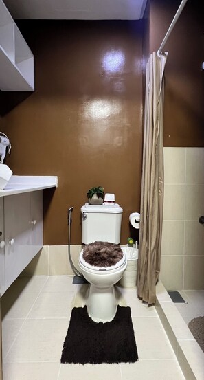Hair dryer, bidet, towels, soap