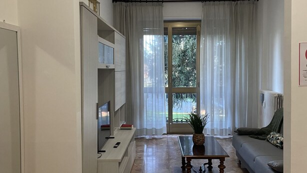 Un salon moderne avec un téléviseur, une table basse et un canapé. Il y a une grande fenêtre avec des rideaux, et une plante sur la table.