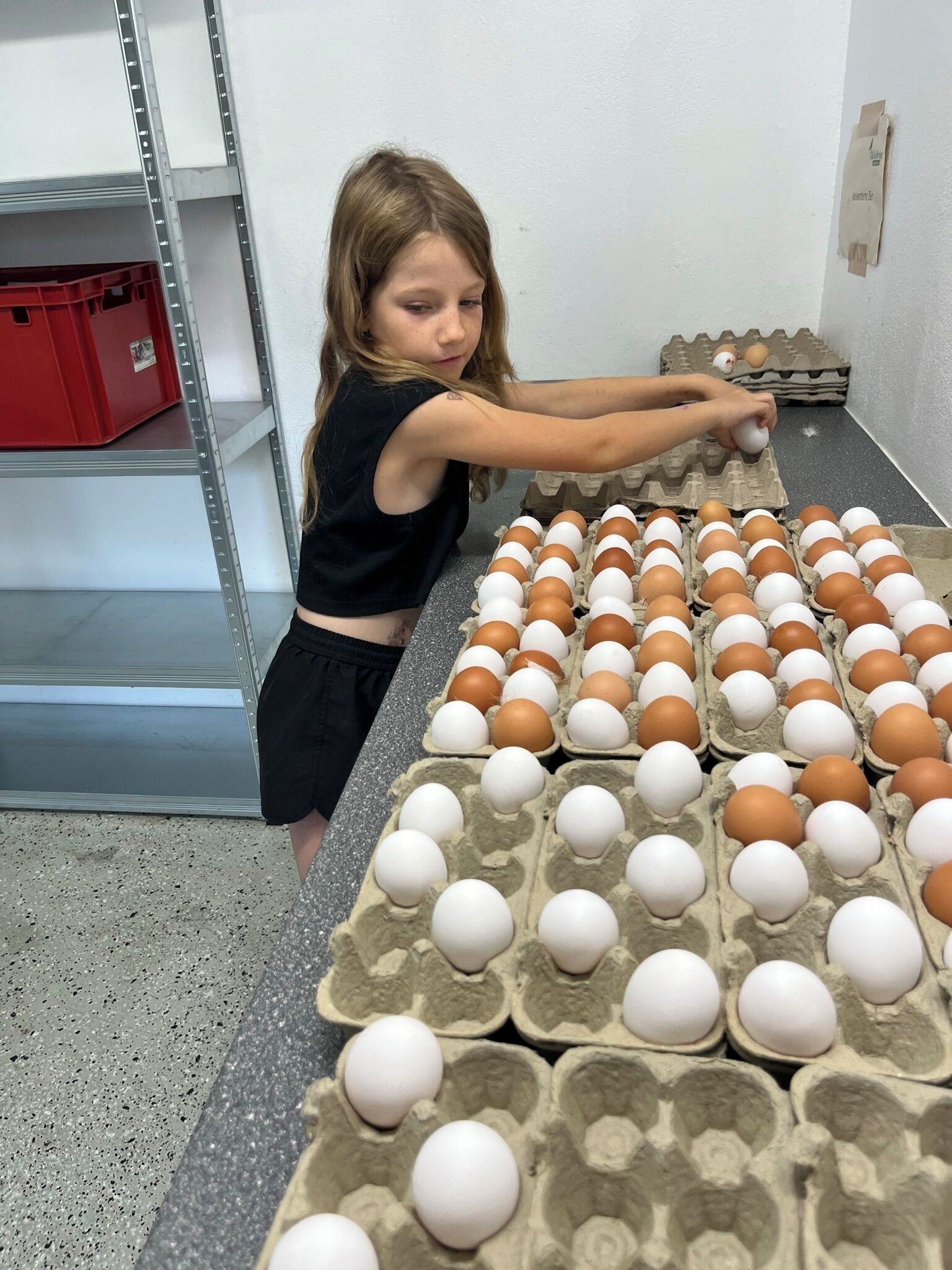 Un niño organizando huevos en cajas sobre una mesa.