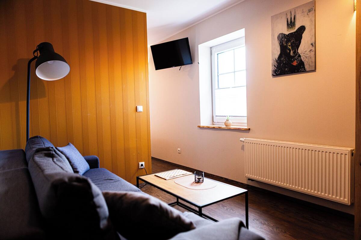 A modern living room with a wooden panel wall, a mounted TV, a window with a view, and a radiator.