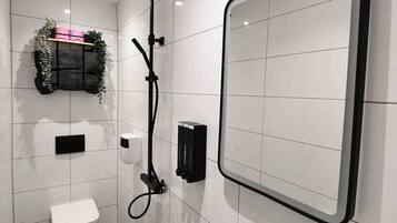 Shower, eco-friendly toiletries, hair dryer, towels