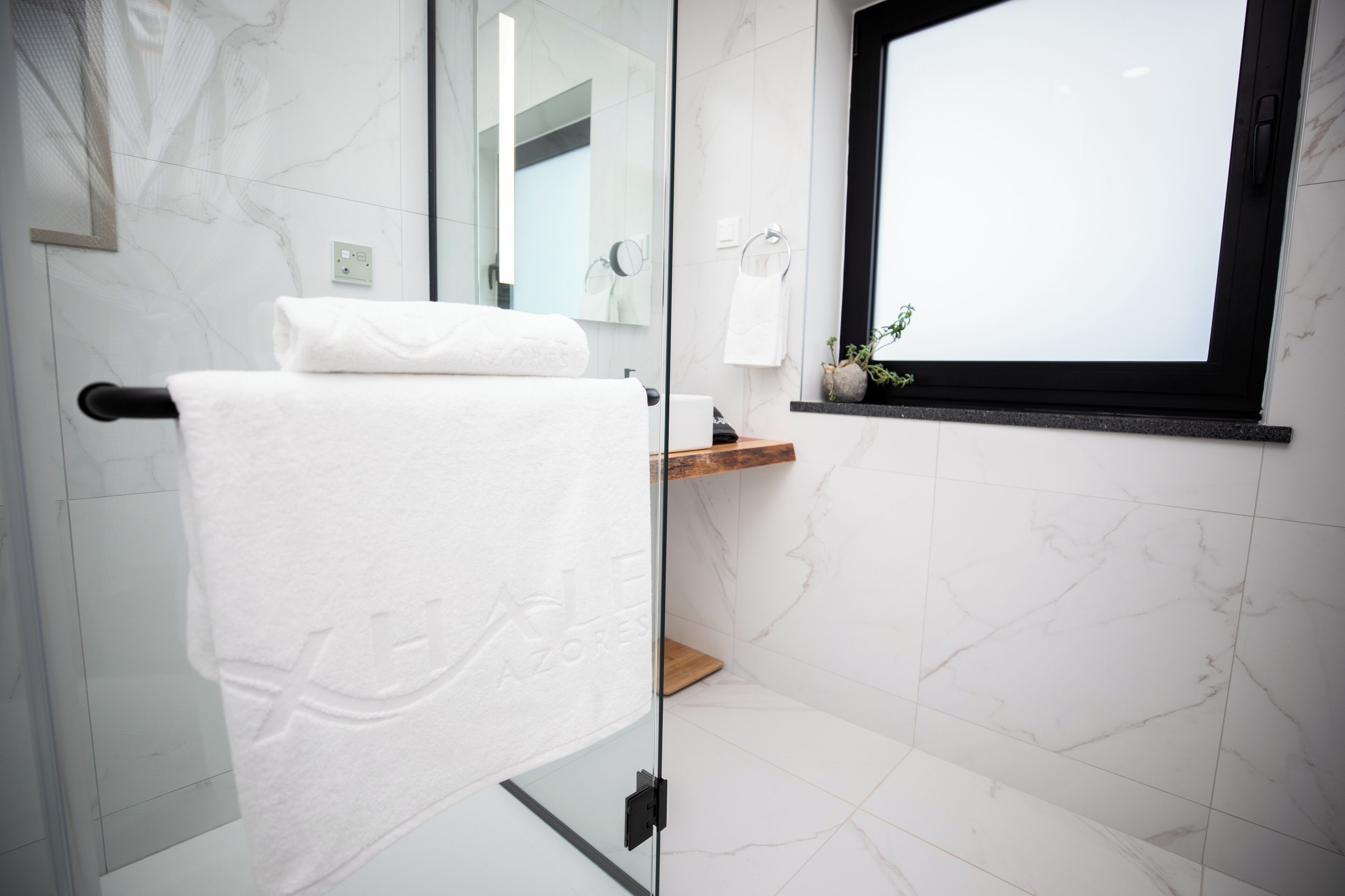 A modern bathroom with a glass shower enclosure, a wooden shelf with a plant, and a large mirror above the sink.