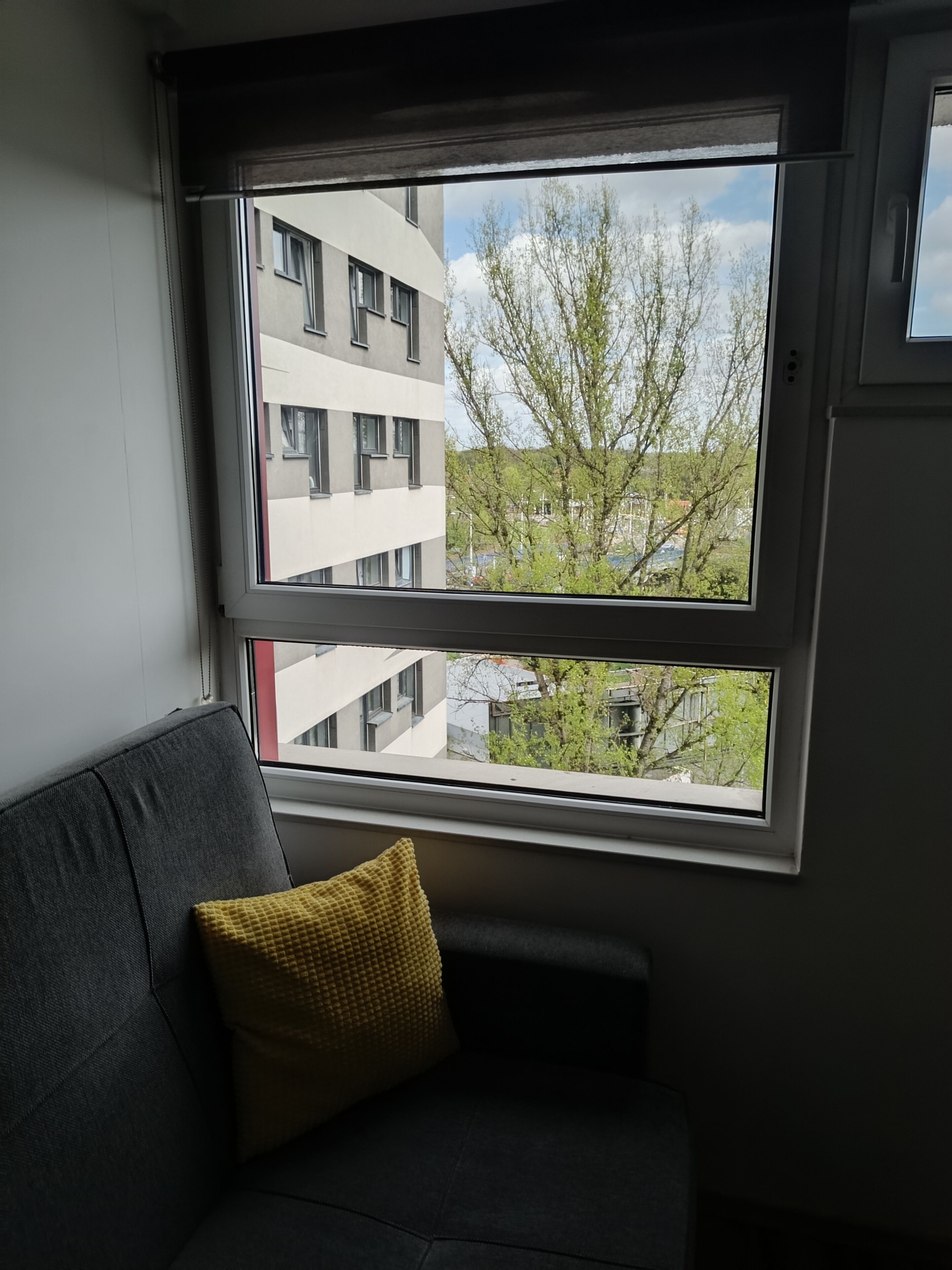 A room with a grey sofa and a window overlooking a building with multiple windows and a tree.