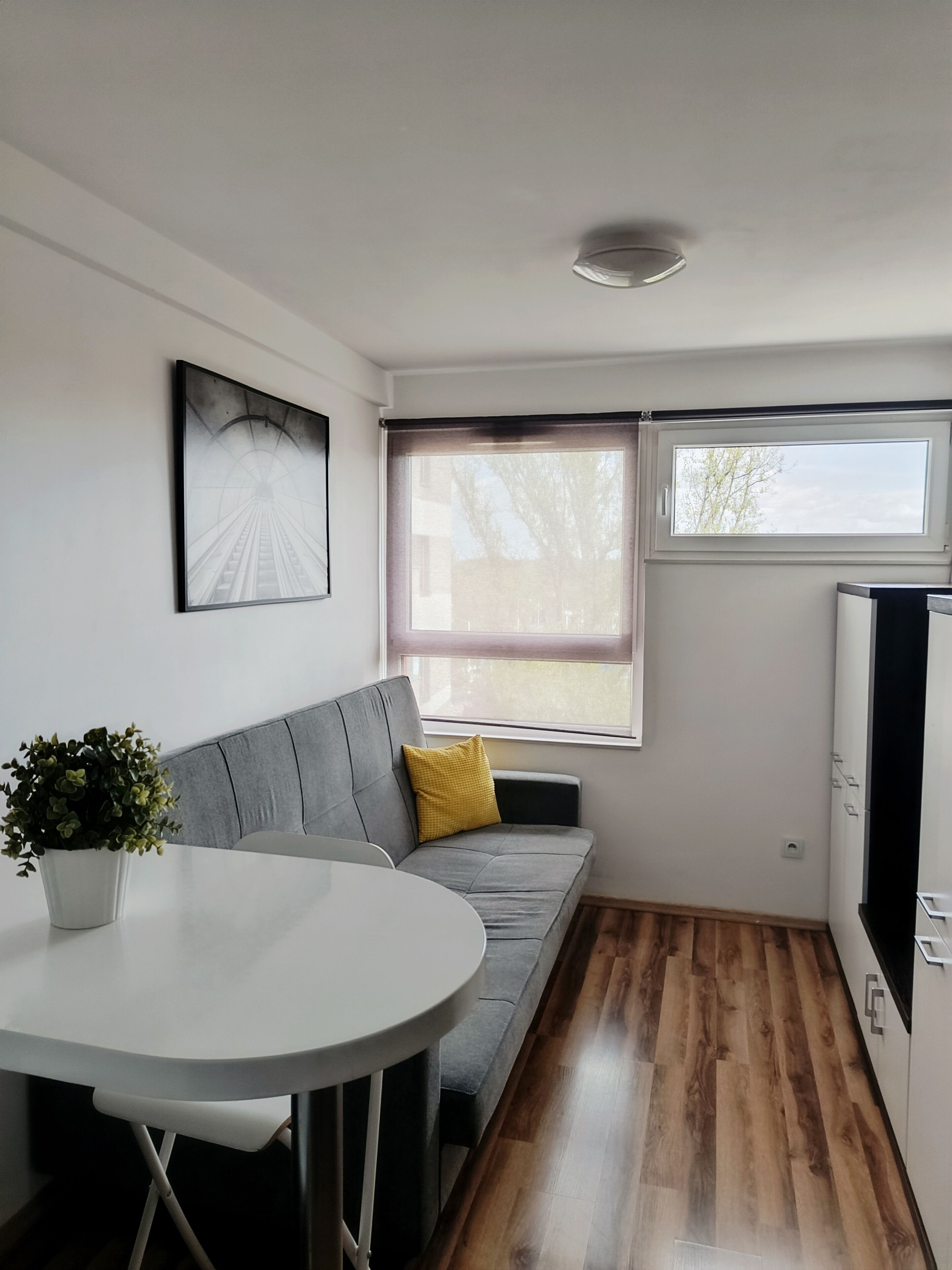 A compact living space with a sofa, a small table, a potted plant, and a window with a view.