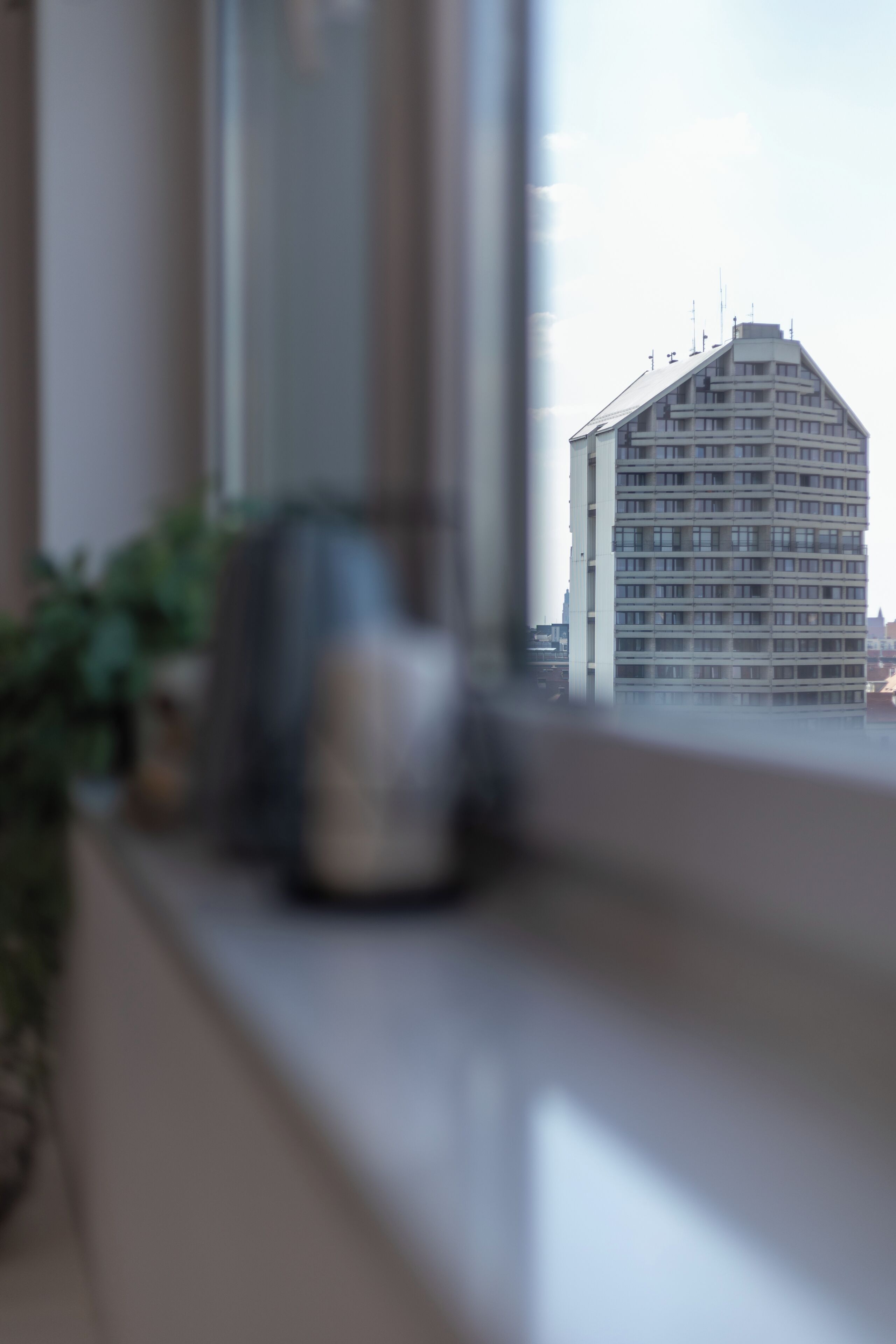 Una ventana con vistas a un edificio alto.