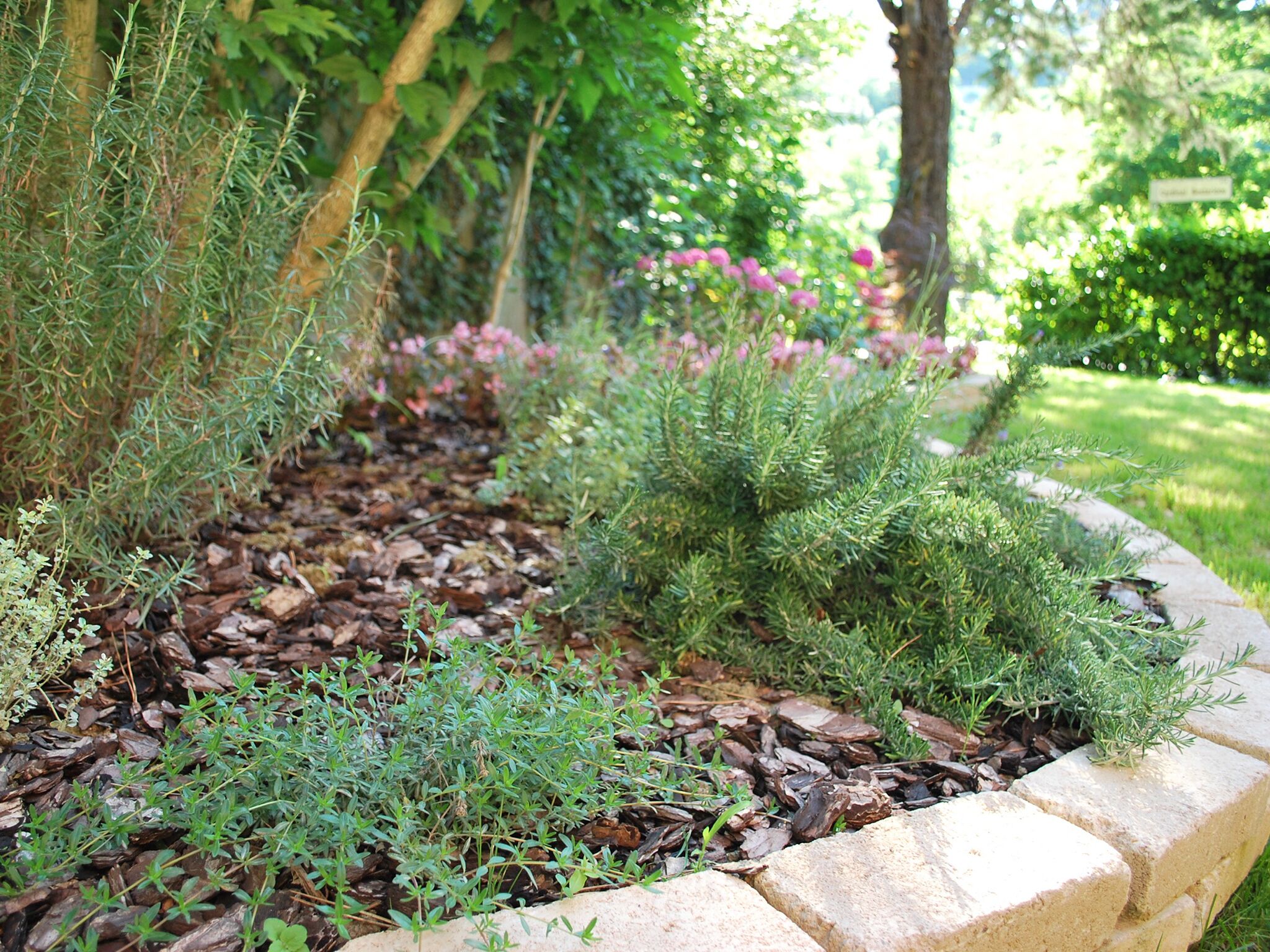 Un jardín ajardinado con diversas plantas y un borde de piedra.