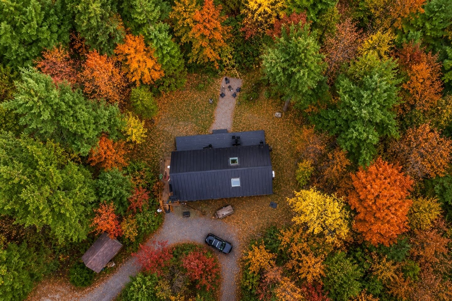 Eksteriør