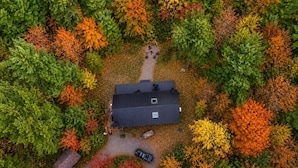An aerial view of a house surrounded by trees with autumn foliage. - Scandinavian Chalet | Games | Hot Tub/Sauna (Dansville)