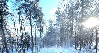 Scandinavian Chalet | Hot Tub | FLX Retreat